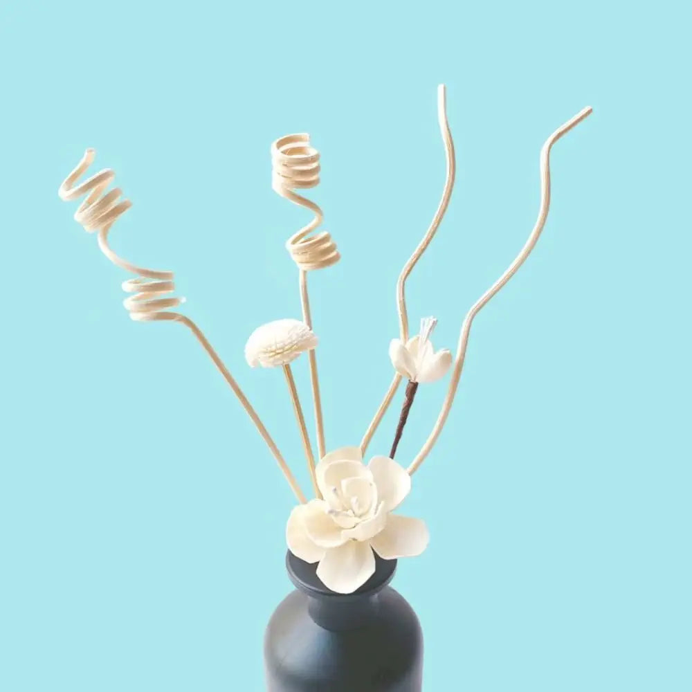 1 Set Flower Aromatherapy Diffuser Sticks