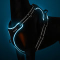 No-Pull Dog Harness with Illuminated Features, Three Light Modes, Control Handle, Reflective Strap, and Adjustable Breathable Vest for Small, Medium, and Large Dogs